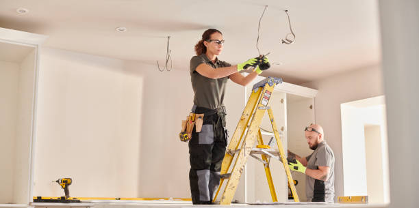 Best Affordable Electrician  in Carrollwood, FL